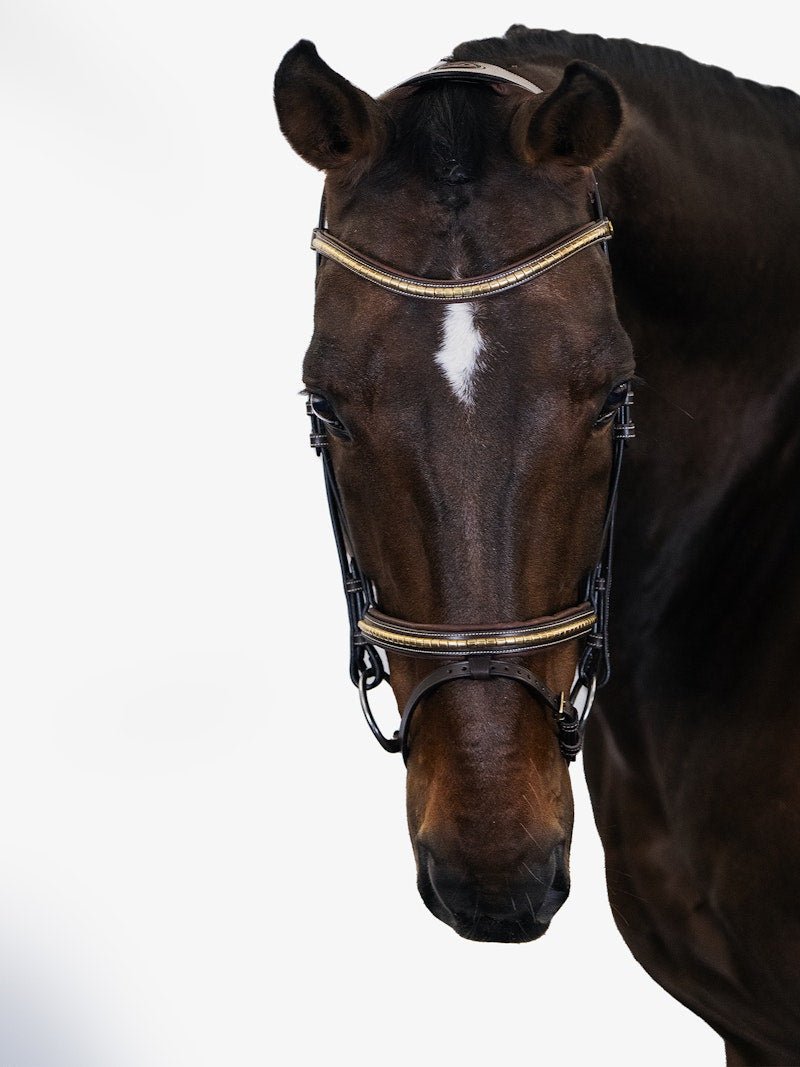 PS of Sweden Bridle Antwerp - PS of Sweden - Equiluxe Tack
