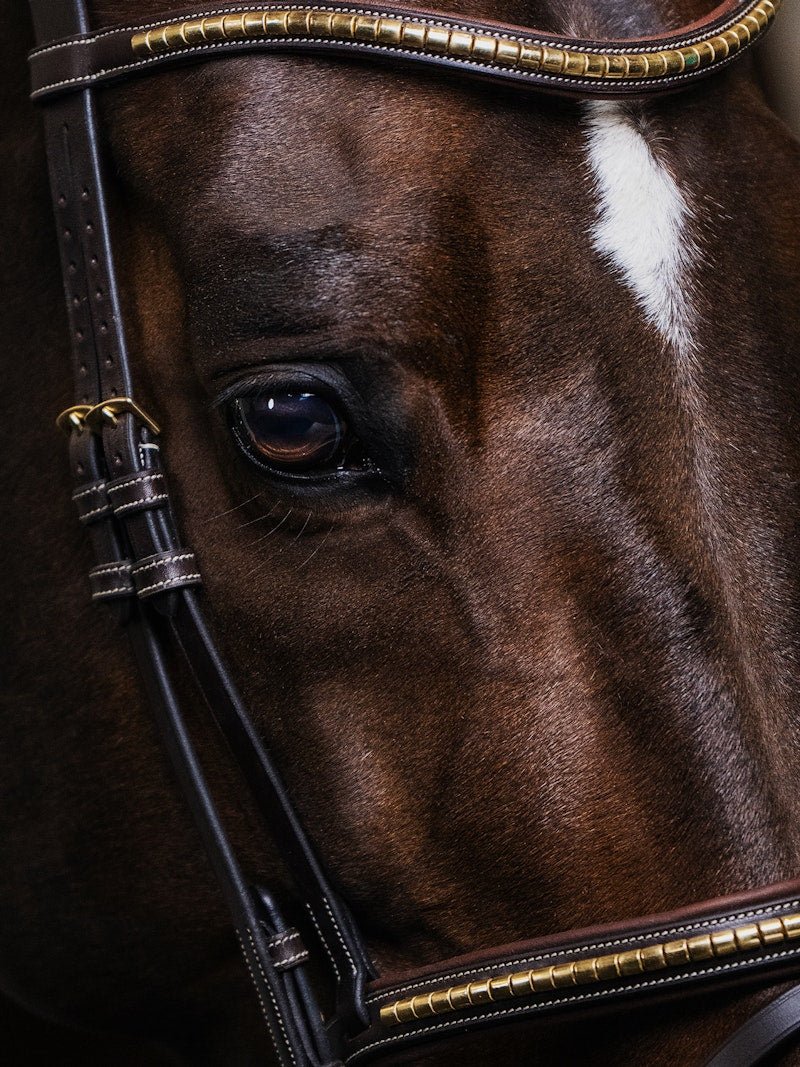 PS of Sweden Bridle Antwerp - PS of Sweden - Equiluxe Tack