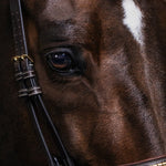 PS of Sweden Bridle Antwerp - PS of Sweden - Equiluxe Tack