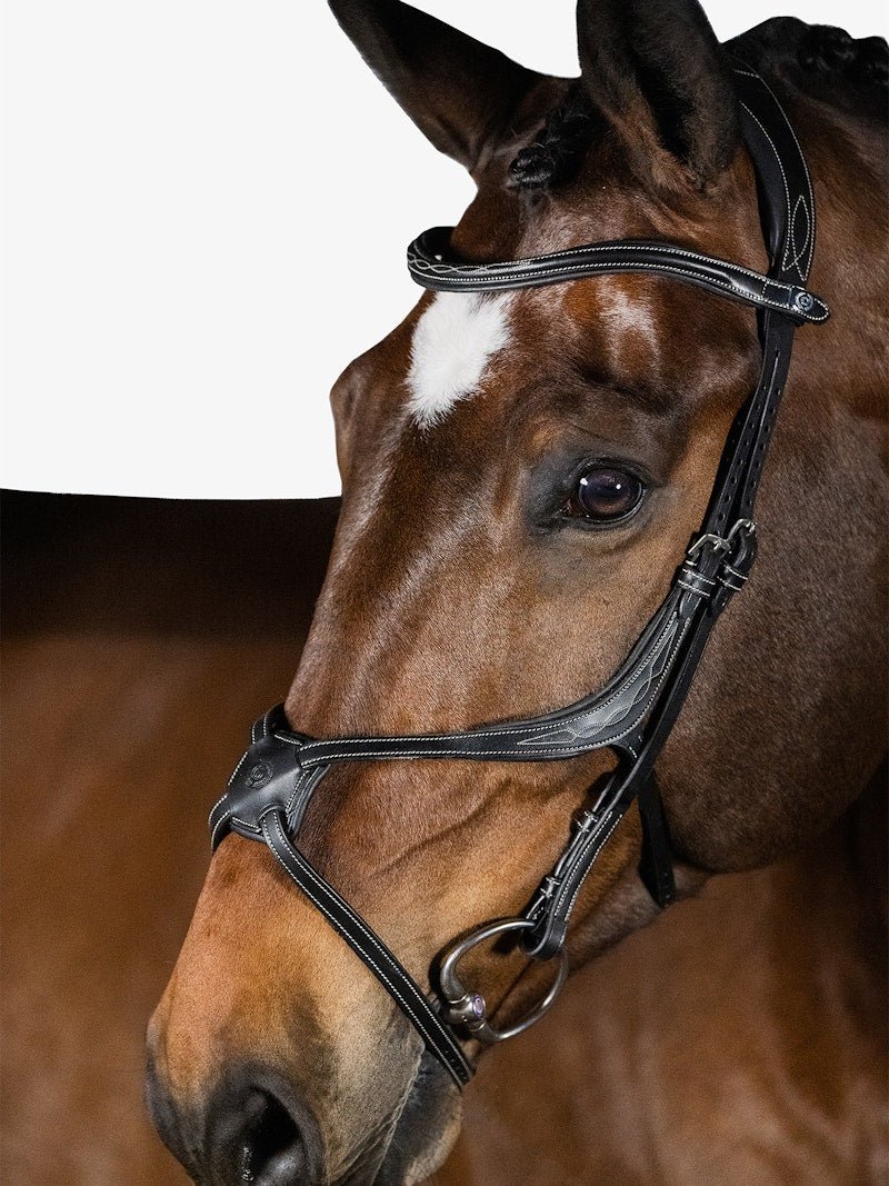 PS of Sweden Bridle Athens - PS of Sweden - Equiluxe Tack
