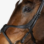 PS of Sweden Bridle Athens - PS of Sweden - Equiluxe Tack