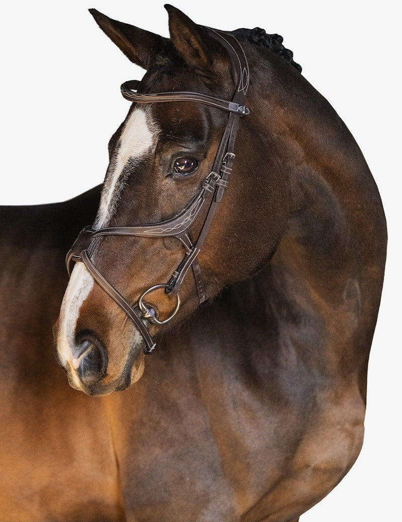 PS of Sweden Bridle Athens - PS of Sweden - Equiluxe Tack