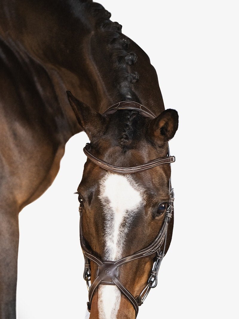 PS of Sweden Bridle Athens - PS of Sweden - Equiluxe Tack