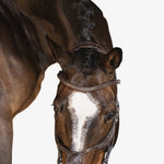 PS of Sweden Bridle Athens - PS of Sweden - Equiluxe Tack