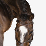 PS of Sweden Bridle Athens - PS of Sweden - Equiluxe Tack