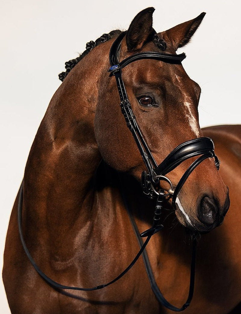 PS of Sweden Bridle Flying Change - PS of Sweden - Equiluxe Tack
