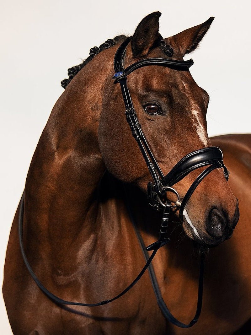 PS of Sweden Bridle Flying Change - PS of Sweden - Equiluxe Tack