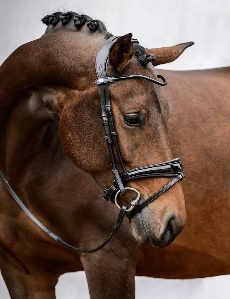 PS of Sweden Bridle GP Black - PS of Sweden - Equiluxe Tack