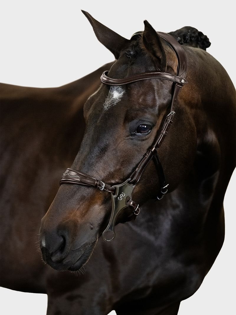 PS of Sweden Bridle Hackamore Sport - PS of Sweden - Equiluxe Tack