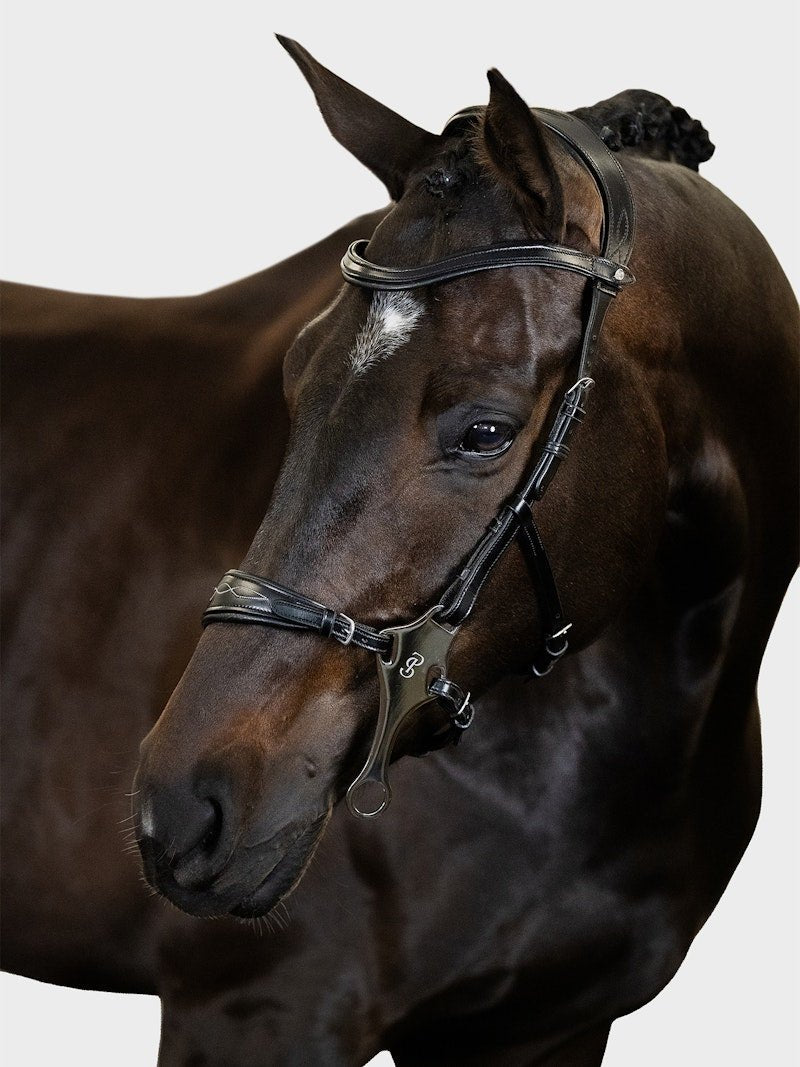 PS of Sweden Bridle Hackamore Sport - PS of Sweden - Equiluxe Tack