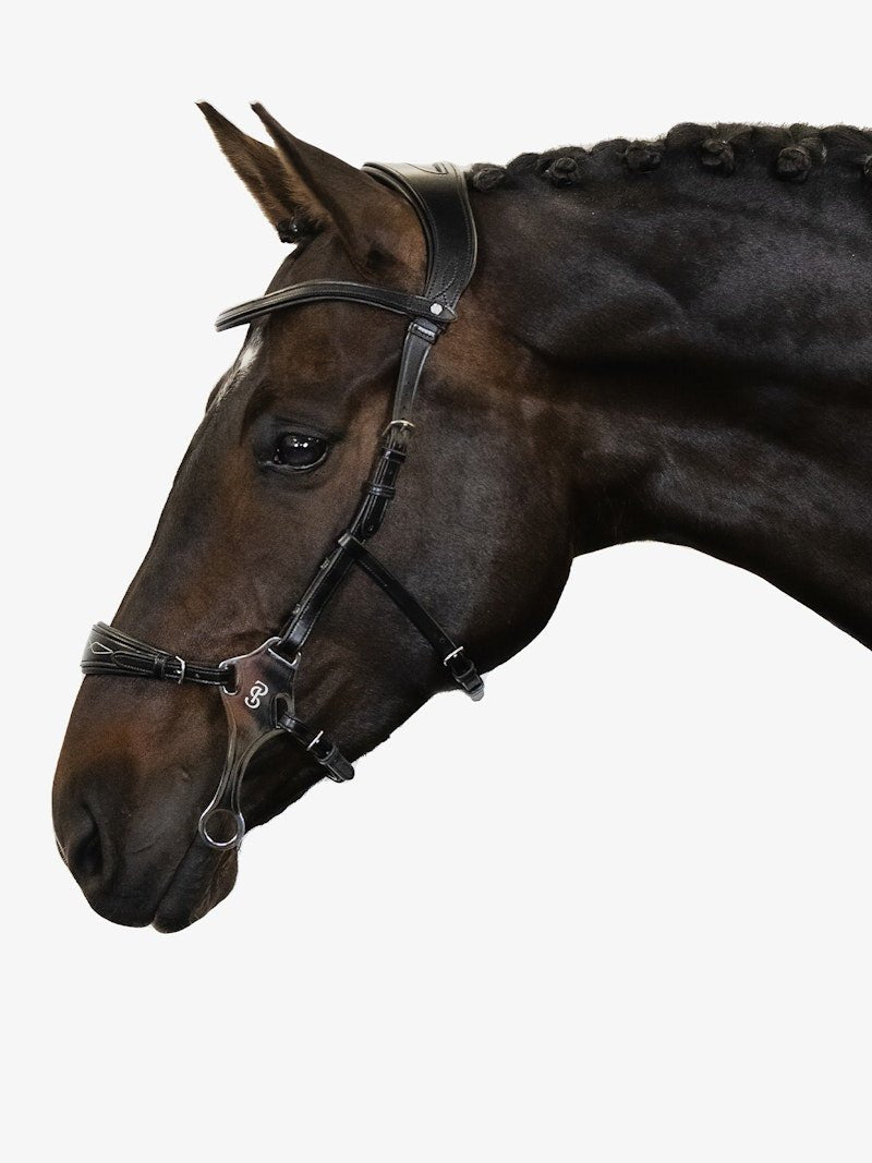 PS of Sweden Bridle Hackamore Sport - PS of Sweden - Equiluxe Tack