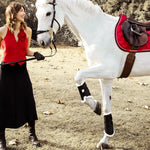 PS of Sweden Bridle Hackamore Sport - PS of Sweden - Equiluxe Tack