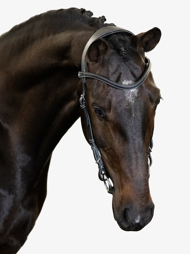 PS of Sweden Bridle Helsinki - PS of Sweden - Equiluxe Tack