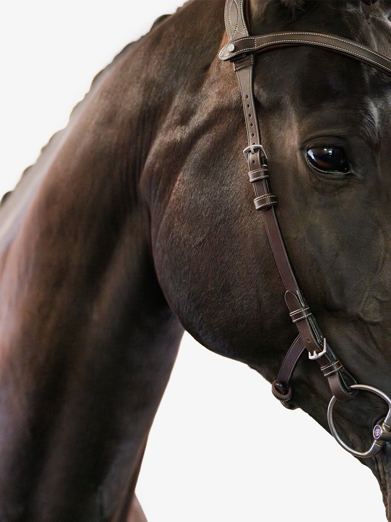PS of Sweden Bridle Helsinki - PS of Sweden - Equiluxe Tack