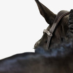 PS of Sweden Bridle Helsinki - PS of Sweden - Equiluxe Tack