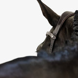 PS of Sweden Bridle Helsinki - PS of Sweden - Equiluxe Tack