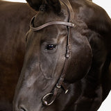 PS of Sweden Bridle Helsinki - PS of Sweden - Equiluxe Tack