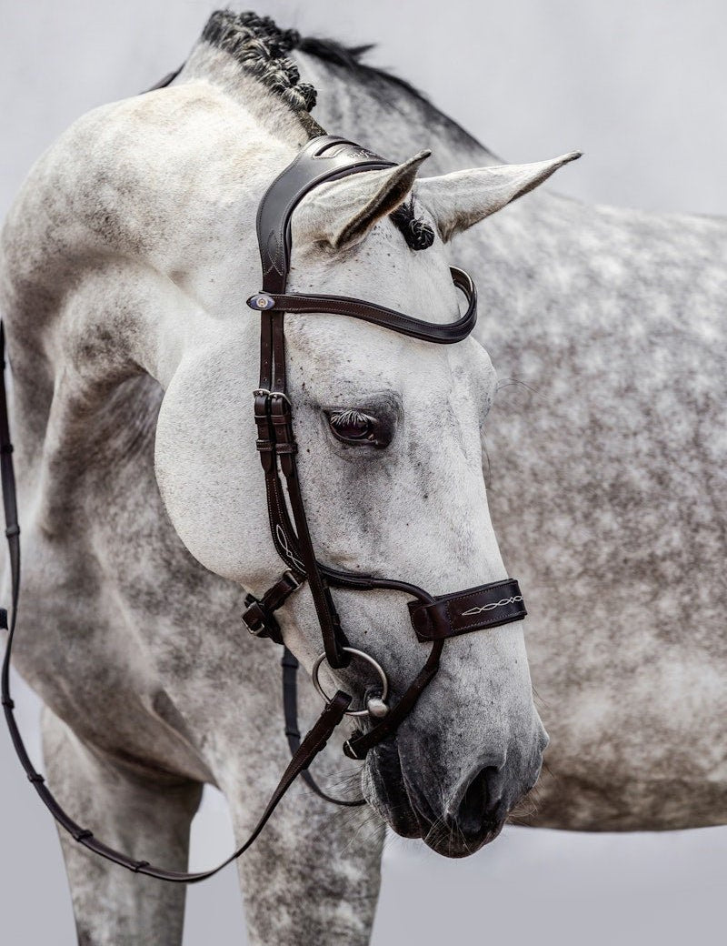 PS of Sweden Bridle High Jump - PS of Sweden - Equiluxe Tack