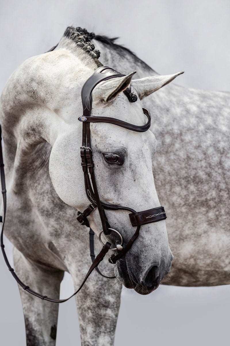 PS of Sweden Bridle High Jump - PS of Sweden - Equiluxe Tack