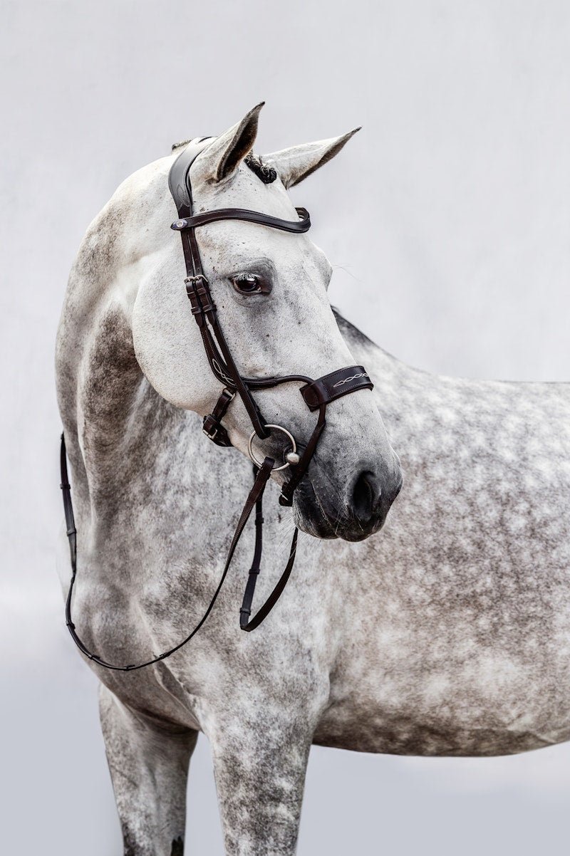 PS of Sweden Bridle High Jump - PS of Sweden - Equiluxe Tack