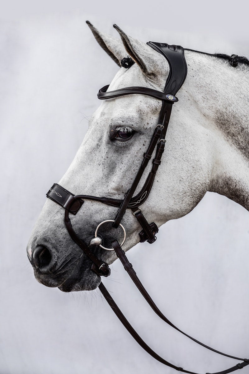 PS of Sweden Bridle High Jump - PS of Sweden - Equiluxe Tack