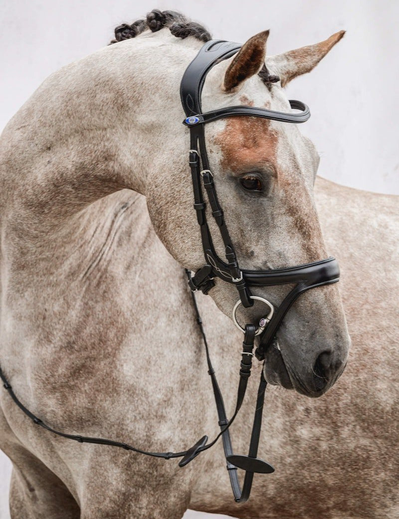 PS of Sweden Bridle Jump Off - PS of Sweden - Equiluxe Tack