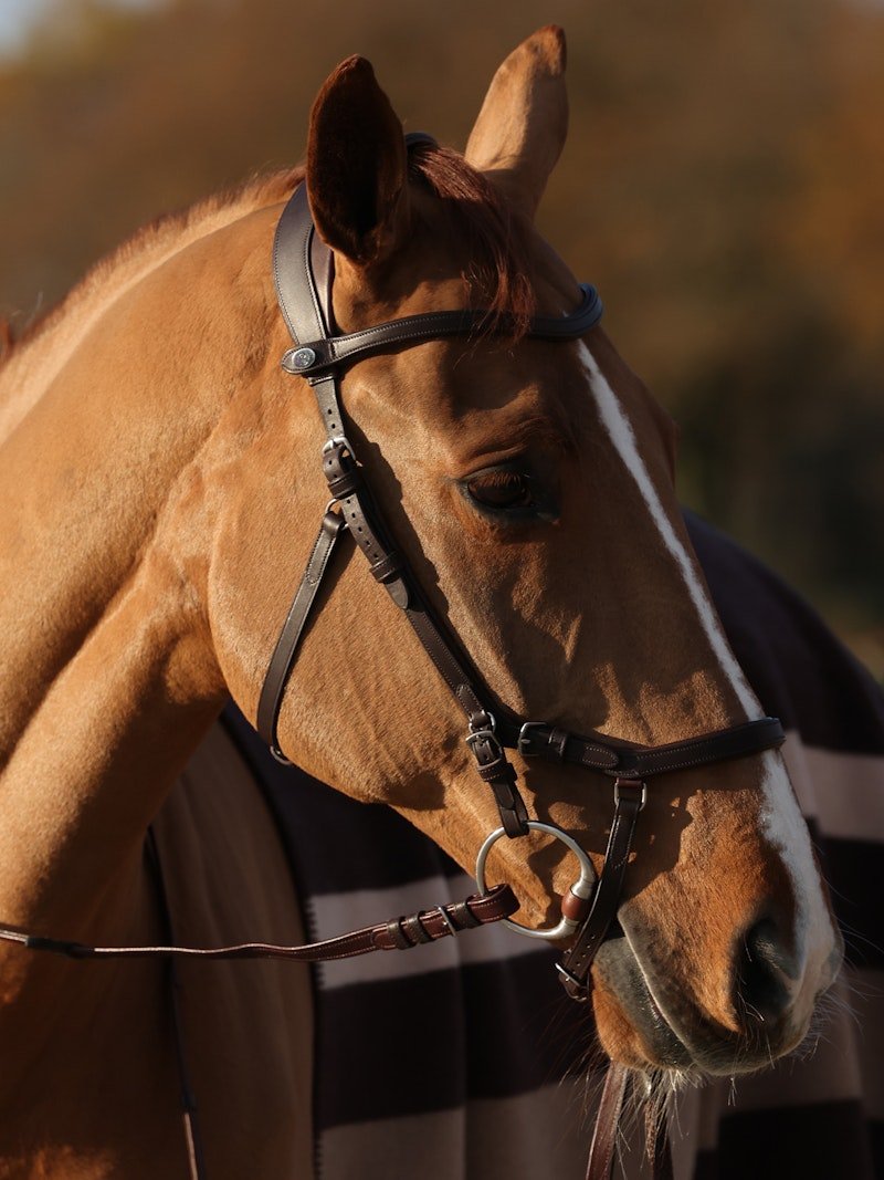 PS of Sweden Bridle King Edward - PS of Sweden - Equiluxe Tack