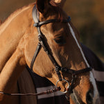 PS of Sweden Bridle King Edward - PS of Sweden - Equiluxe Tack