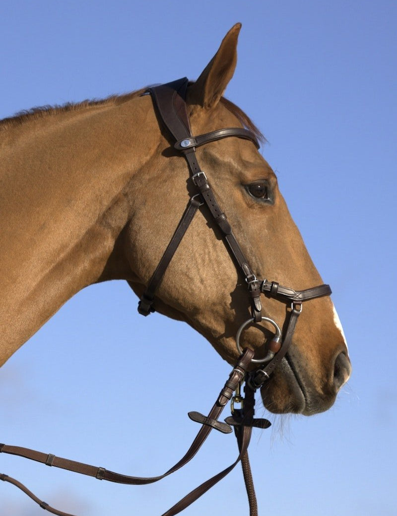 PS of Sweden Bridle King Edward - PS of Sweden - Equiluxe Tack