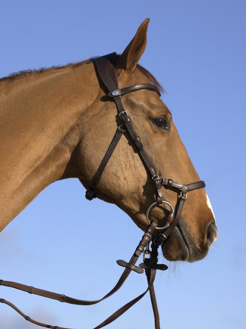 PS of Sweden Bridle King Edward - PS of Sweden - Equiluxe Tack