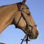 PS of Sweden Bridle King Edward - PS of Sweden - Equiluxe Tack