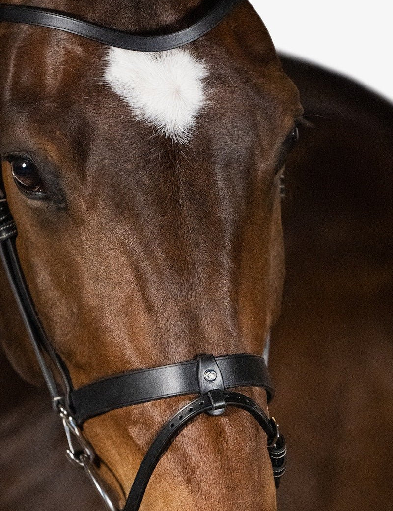 PS of Sweden Bridle London - PS of Sweden - Equiluxe Tack