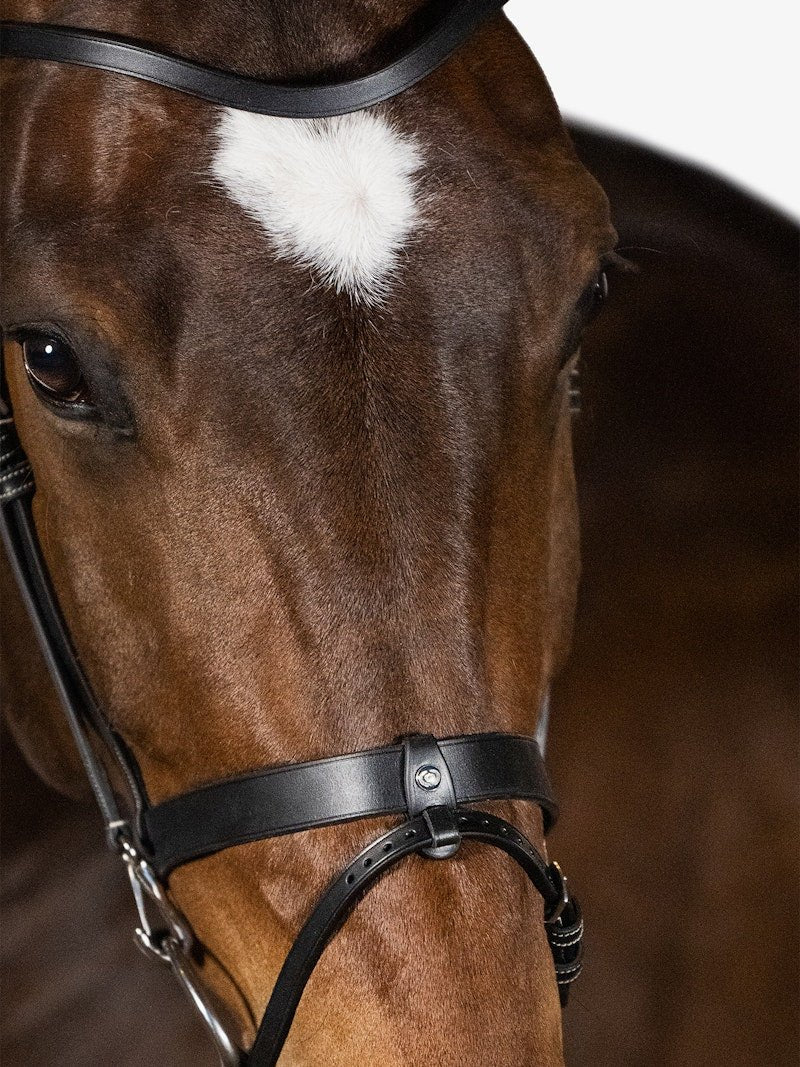 PS of Sweden Bridle London - PS of Sweden - Equiluxe Tack