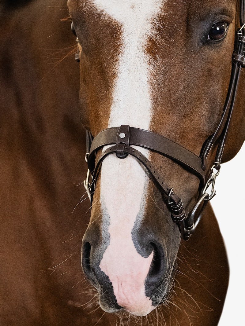 PS of Sweden Bridle London - PS of Sweden - Equiluxe Tack