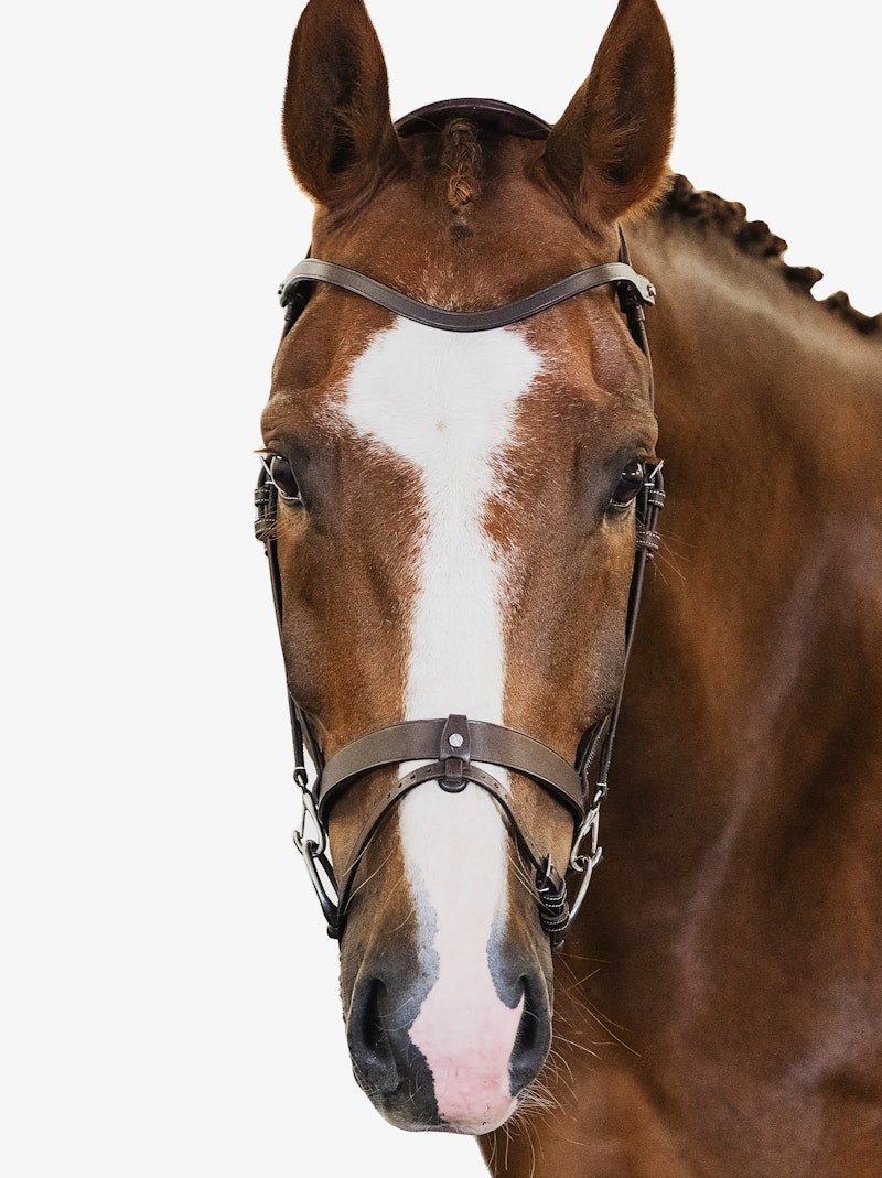 PS of Sweden Bridle London - PS of Sweden - Equiluxe Tack