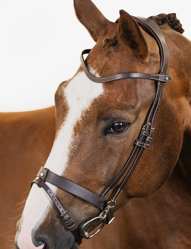 PS of Sweden Bridle London - PS of Sweden - Equiluxe Tack