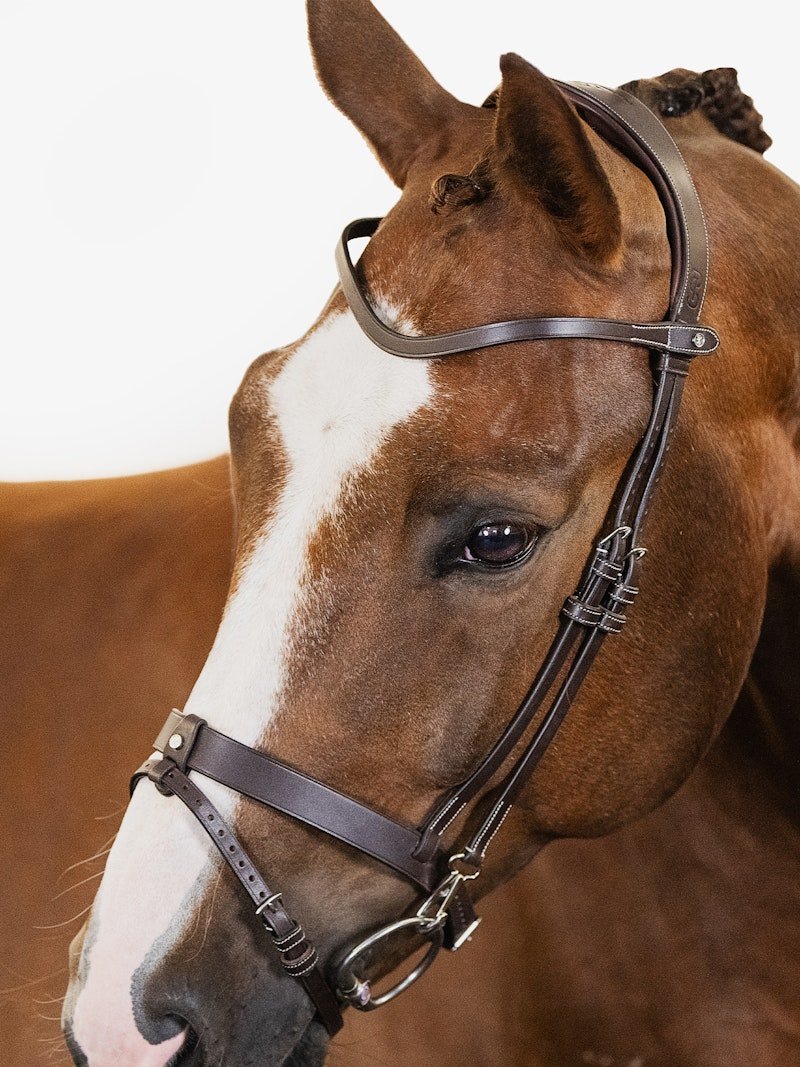 PS of Sweden Bridle London - PS of Sweden - Equiluxe Tack