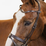PS of Sweden Bridle London - PS of Sweden - Equiluxe Tack