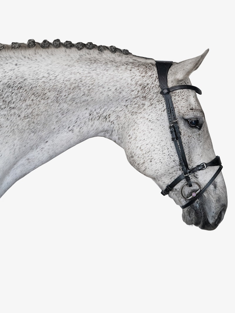 PS of Sweden Bridle, Mary Lou By Henrik Von Eckermann - PS of Sweden - Equiluxe Tack