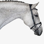 PS of Sweden Bridle, Mary Lou By Henrik Von Eckermann - PS of Sweden - Equiluxe Tack