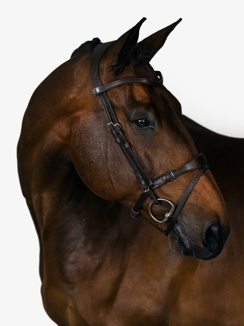 PS of Sweden Bridle, Mary Lou By Henrik Von Eckermann - PS of Sweden - Equiluxe Tack