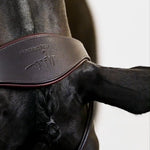 PS of Sweden Bridle, Mary Lou By Henrik Von Eckermann - PS of Sweden - Equiluxe Tack
