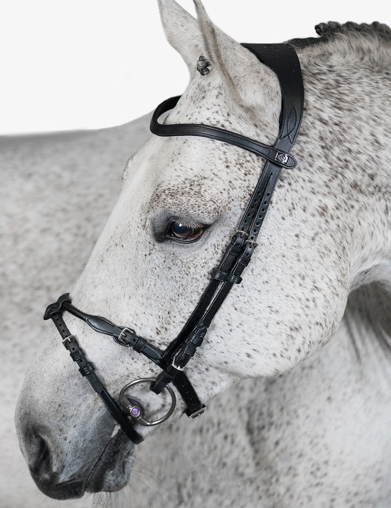 PS of Sweden Bridle, Mary Lou By Henrik Von Eckermann - PS of Sweden - Equiluxe Tack