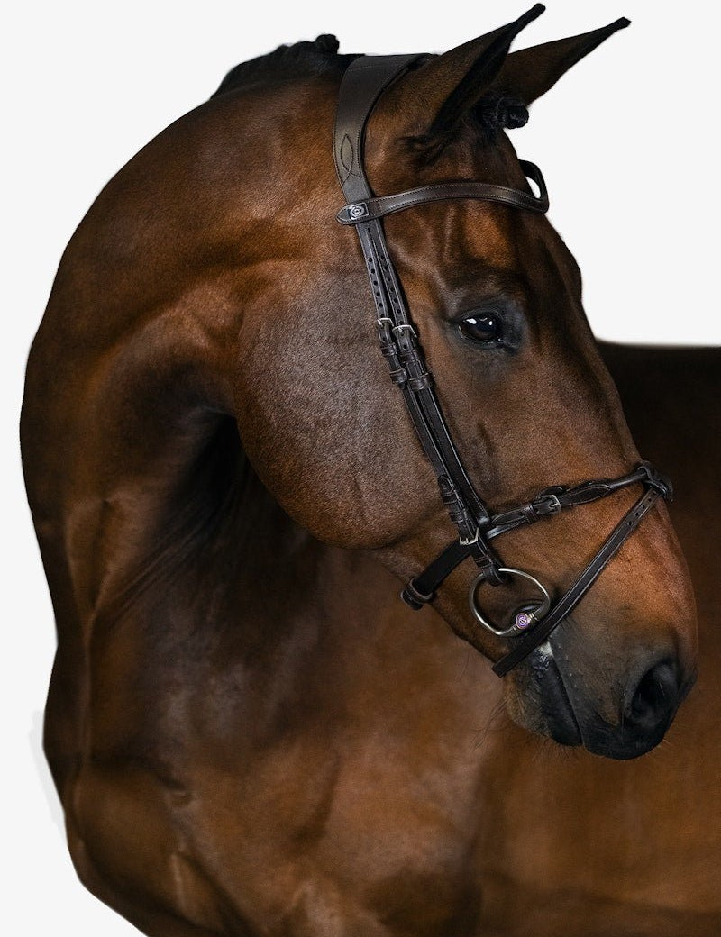 PS of Sweden Bridle, Mary Lou By Henrik Von Eckermann - PS of Sweden - Equiluxe Tack