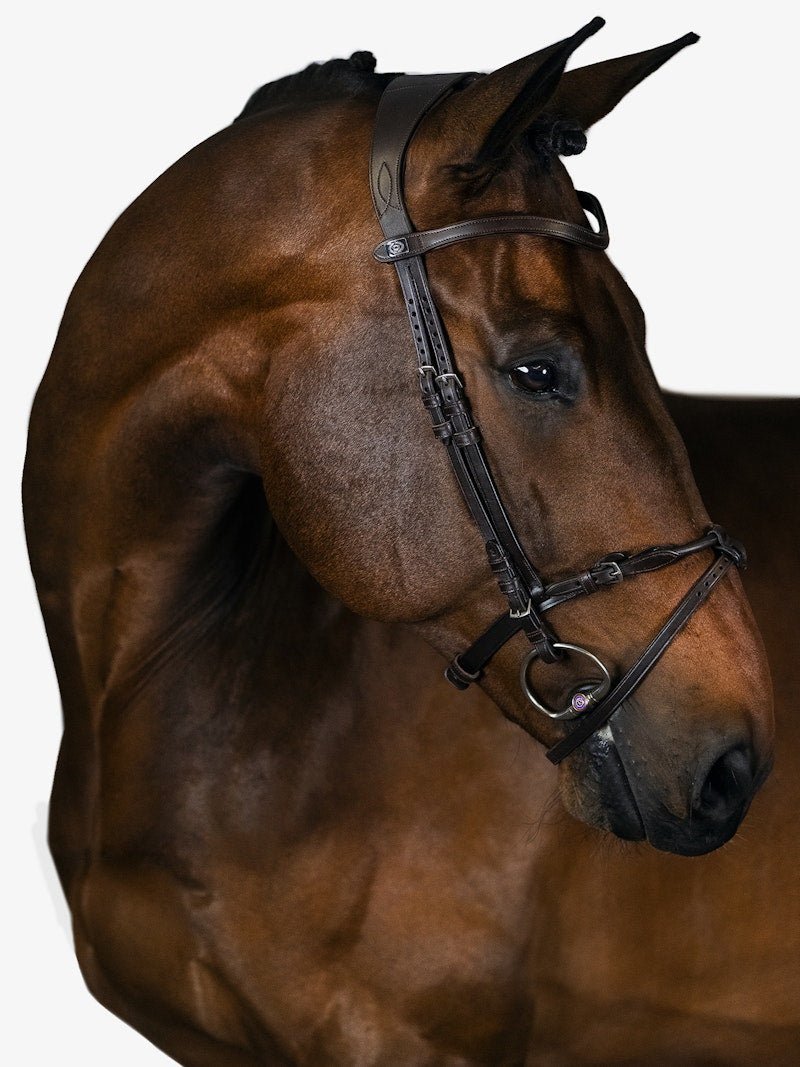 PS of Sweden Bridle, Mary Lou By Henrik Von Eckermann - PS of Sweden - Equiluxe Tack