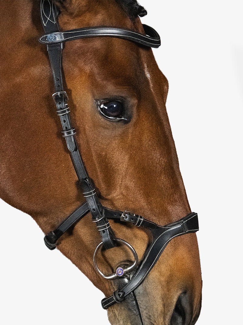 PS of Sweden Bridle Nirak - PS of Sweden - Equiluxe Tack