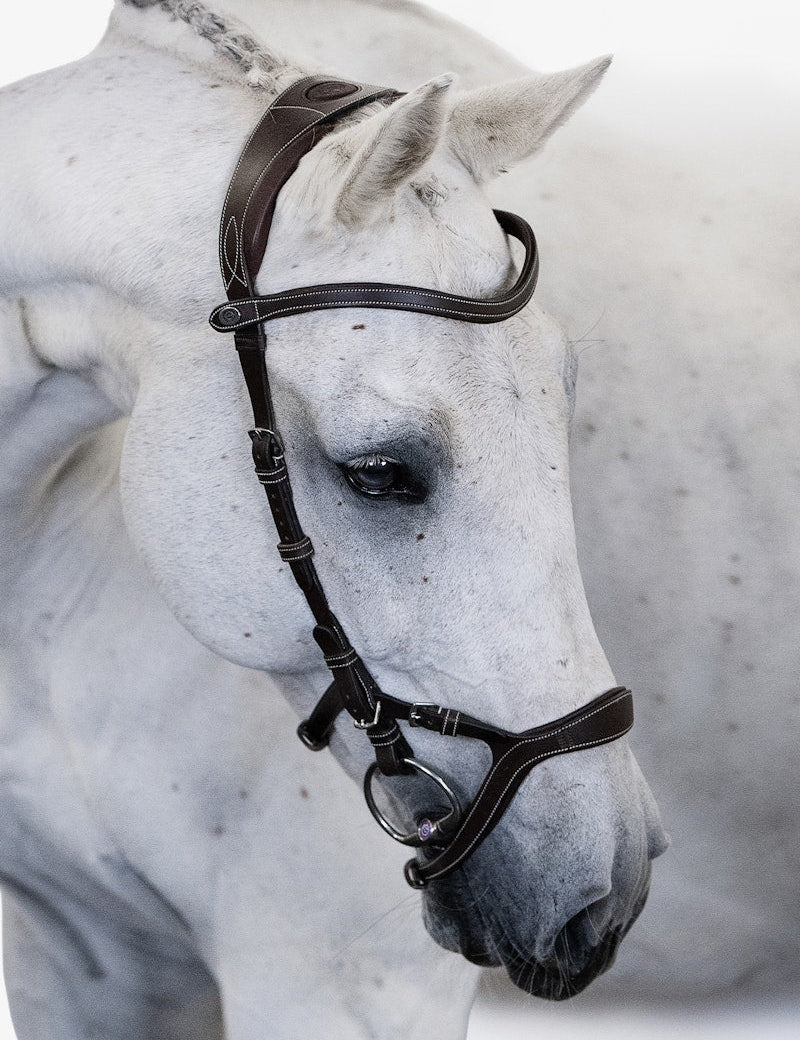 PS of Sweden Bridle Nirak - PS of Sweden - Equiluxe Tack