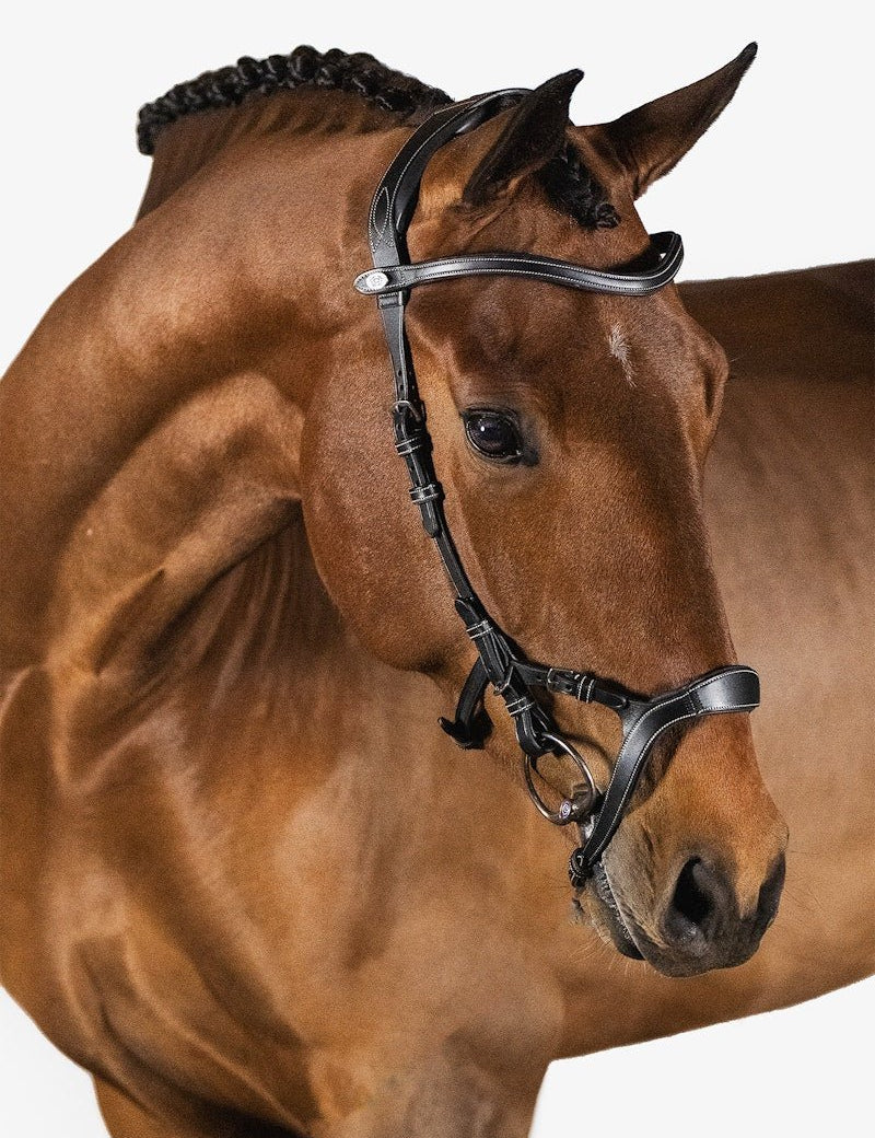 PS of Sweden Bridle Nirak - PS of Sweden - Equiluxe Tack