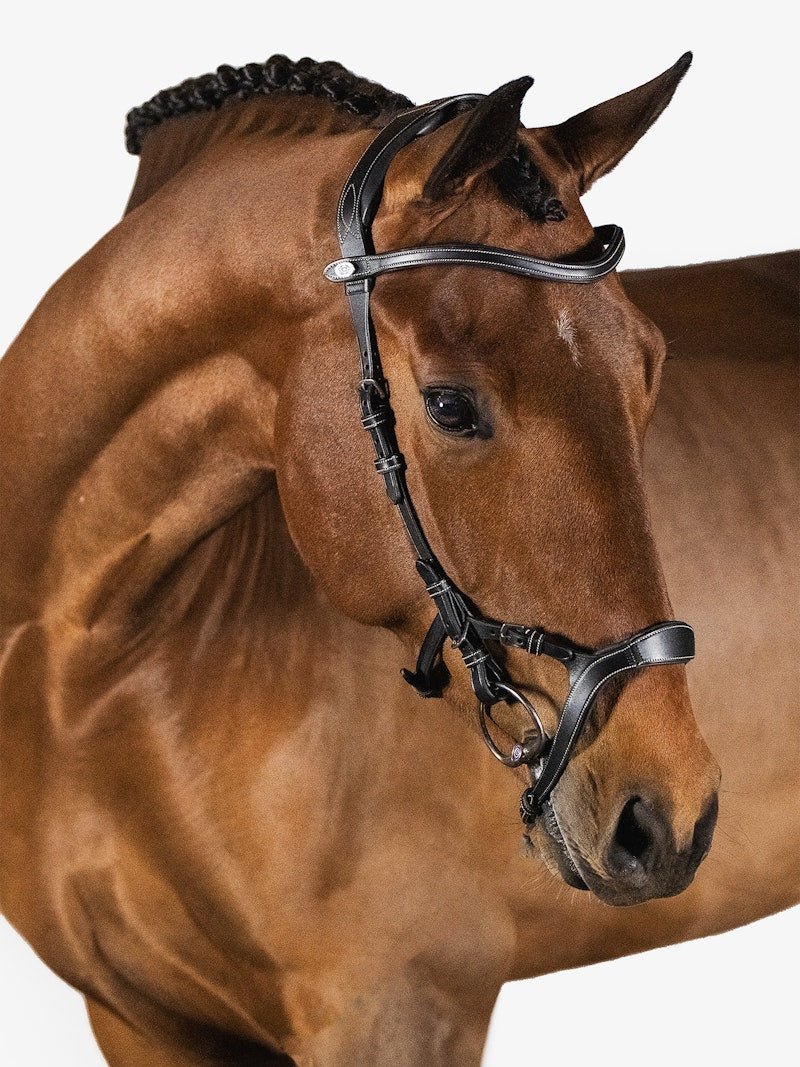 PS of Sweden Bridle Nirak - PS of Sweden - Equiluxe Tack