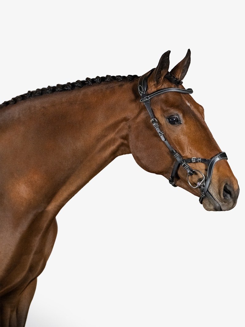 PS of Sweden Bridle Nirak - PS of Sweden - Equiluxe Tack